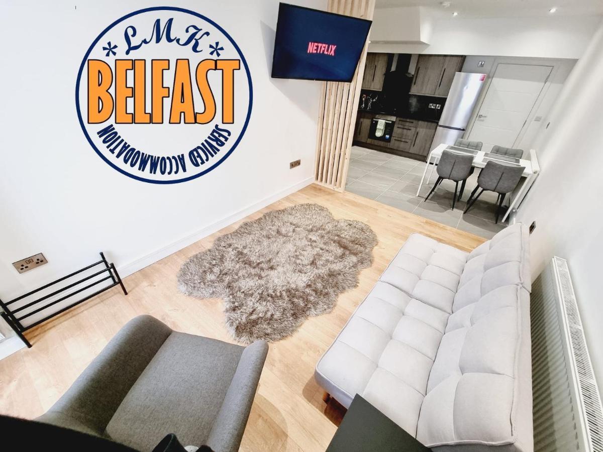 Lmk, Spacious 1 Bedroom Ground Floor Apartment, Ev Charger, Free Parking Wi-Fi, Great Location Belfast Eksteriør billede